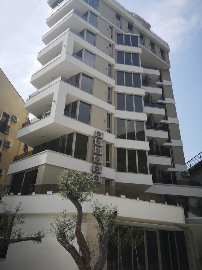 Апартаменты Lux Apartment Teodora Rafailovici Рафаиловичи-36